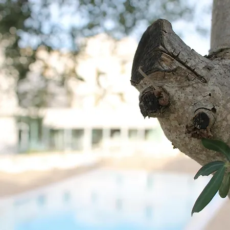 Pietre Nere & מודיקה